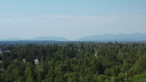 Drone-Flotando-Sobre-El-Bosque-Siempre-Verde-En-Un-Día-Soleado-En-Washington,-Estados-Unidos