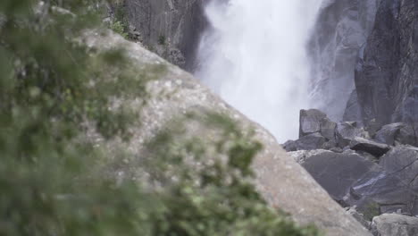 Schuss-Von-Holz-Und-Büschen-Rack-Fokus-Auf-Wasserfall-Im-Hintergrund-Im-Yosemite-National-Park