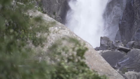 toma de troncos y arbustos centrados en la cascada de fondo en el parque nacional de yosemite