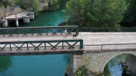 dog walking over old bridges near lago de bolarque