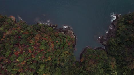 Acantilados-De-Kyotango-Drone-Aéreo-De-Arriba-Hacia-Abajo-Paisaje-De-Bosque-De-Playa-Japonés-Entorno-Natural-De-Japón,-Mar-Azul-Limpio-En-El-Destino-De-Viaje-De-Kansai-Cerca-De-Kyoto