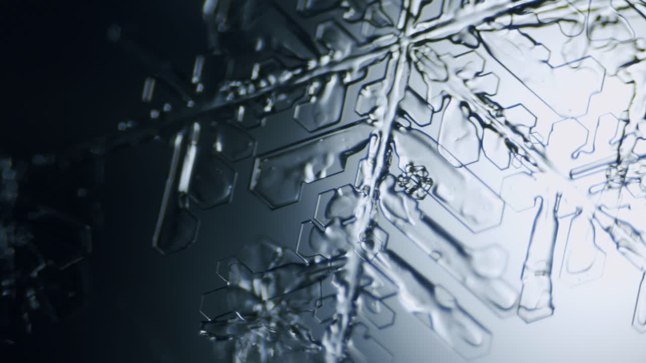 dendrita estelar de cristal de hielo de copo de nieve bajo el microscopio