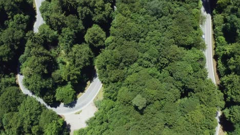 Top-down-timelapse-of-driving-cars-over-a-winding-street-under-green-trees---idyllic-summer-trip-with-some-motion-blur-effects-from-a-HiRes-drone-shot