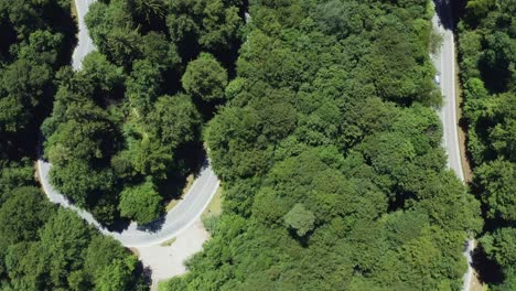 Timelapse-De-Arriba-Hacia-Abajo-De-La-Conducción-De-Automóviles-Por-Una-Calle-Sinuosa-Bajo-árboles-Verdes:-Un-Idílico-Viaje-De-Verano-Con-Algunos-Efectos-De-Desenfoque-De-Movimiento-De-Un-Disparo-De-Drones-Contratados