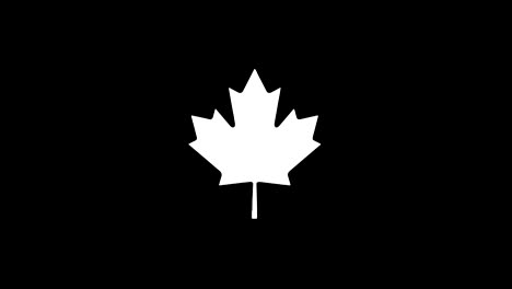 canadian maple leaf icon vintage twitched bad signal animation.