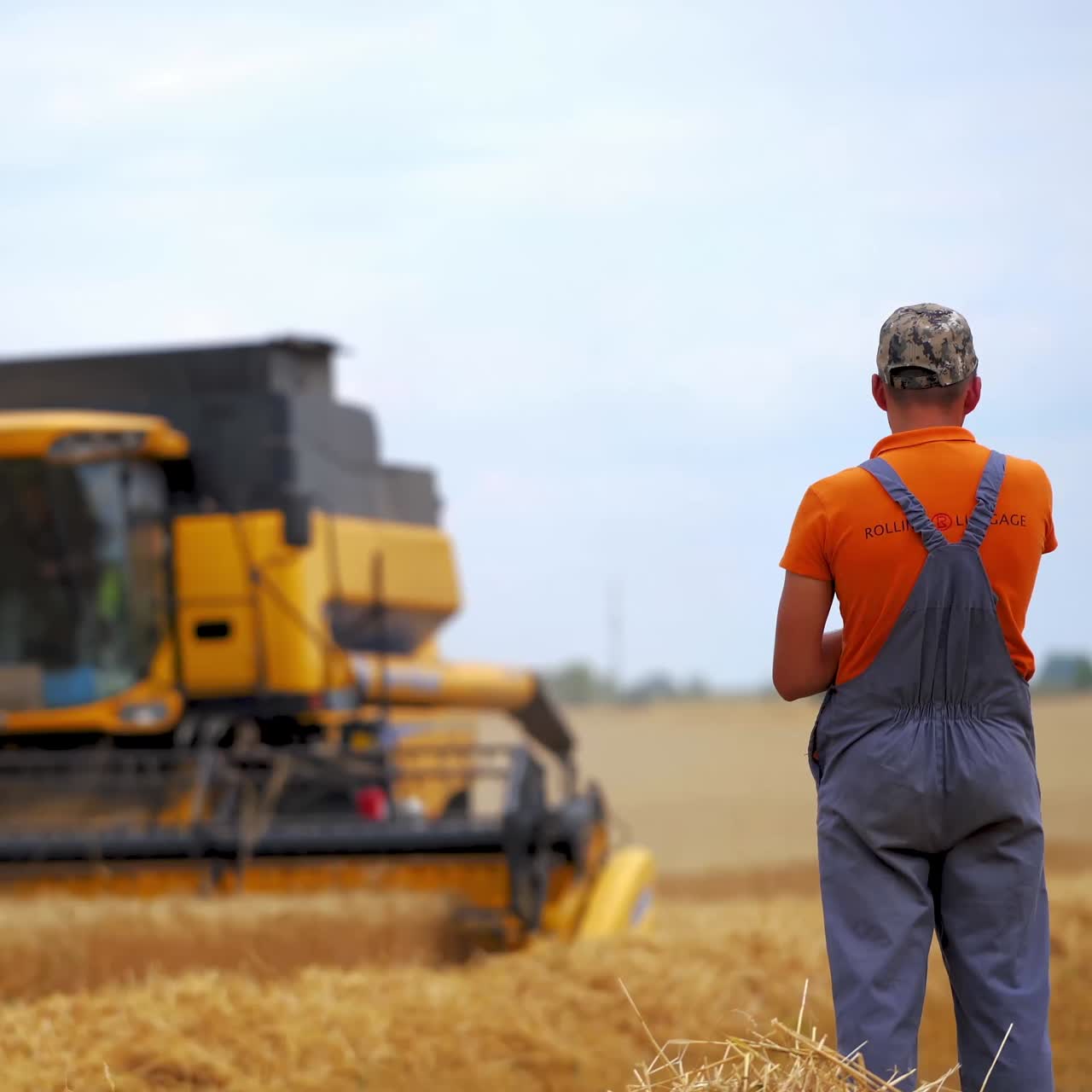 Worker controls the harvesting process. Farmer working in wheat field during harvesting by a combine. Concept of technology in agriculture
