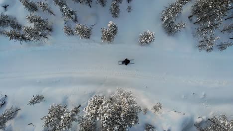 Mann-Beim-Rodeln-Im-Winterwald-In-Lappland,-Finnland---Luftaufnahme,-Von-Oben-Nach-Unten