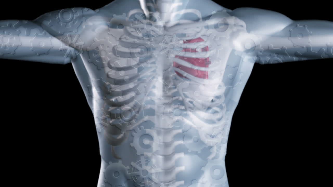 회색 디지털 스레트, 기어 및