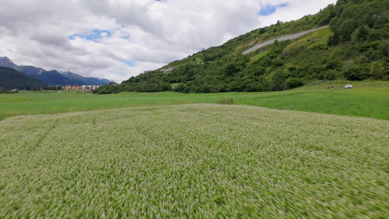 Low-altitude aerial drone flight above lush green fields in the mountain valley of Scuol, Switzerland, surrounded by dramatic alpine peaks, showing the untouched natural beauty of the Swiss Alps