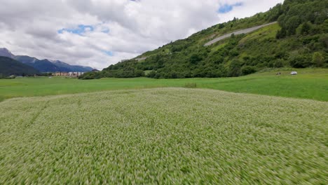 low-altitude aerial drone flight above lush green fields in the mountain valley of scuol, switzerland, surrounded by dramatic alpine peaks, showing the untouched natural beauty of the swiss alps