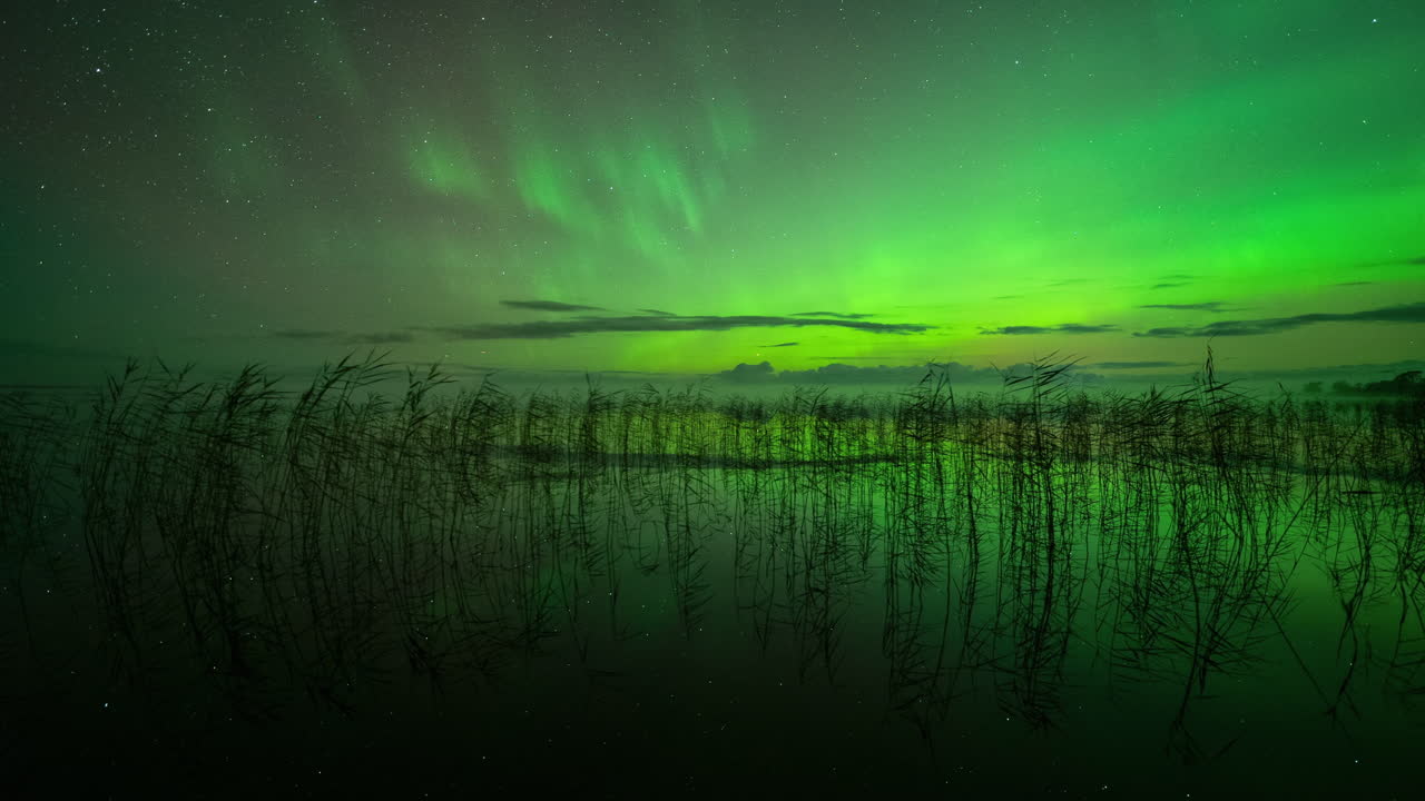 Northern lights over tranquil Estonian lake, glowing green auroras reflecting in the water above thin reeds with beams in sky