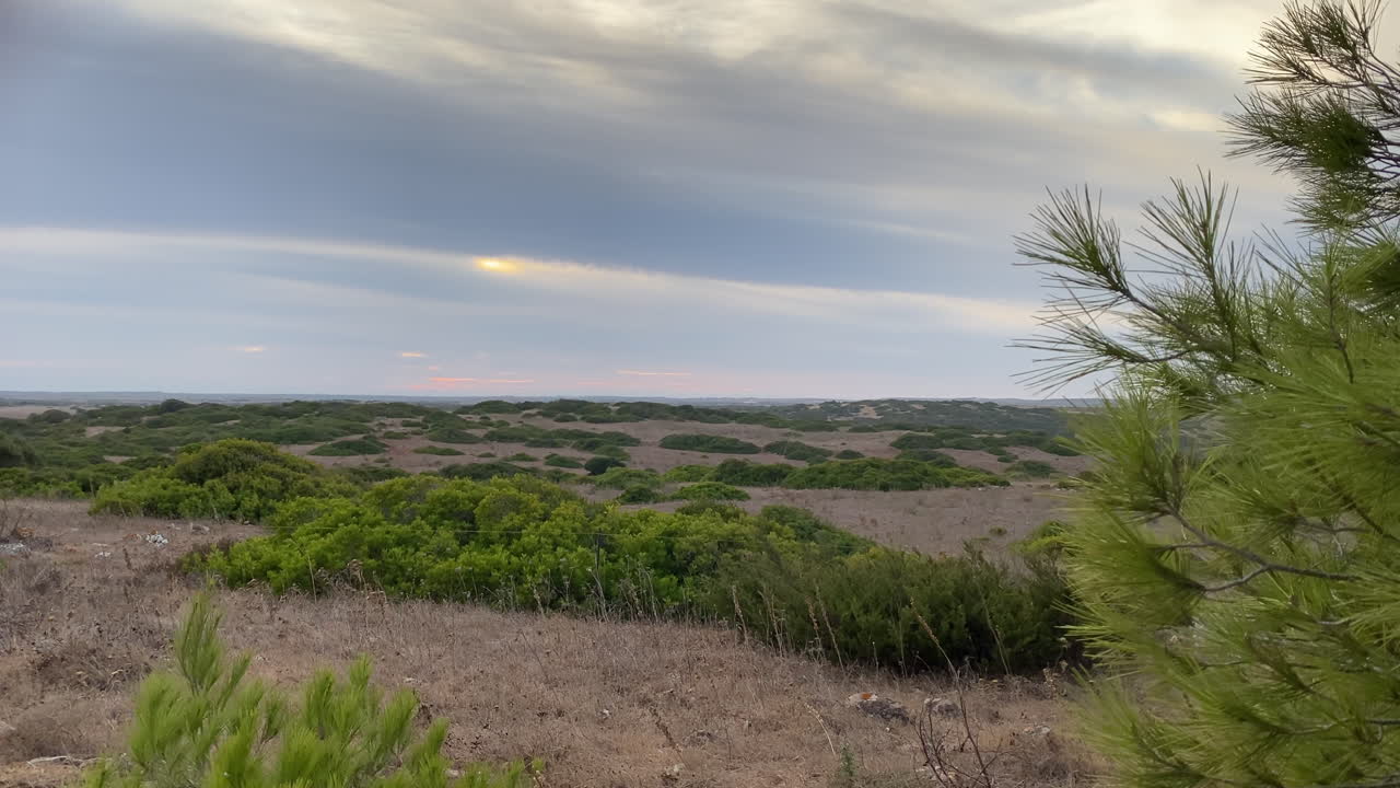 Pôr do sol dourado sobre colinas selvagens no Algarve, com luz quente banhando grama seca e arbustos