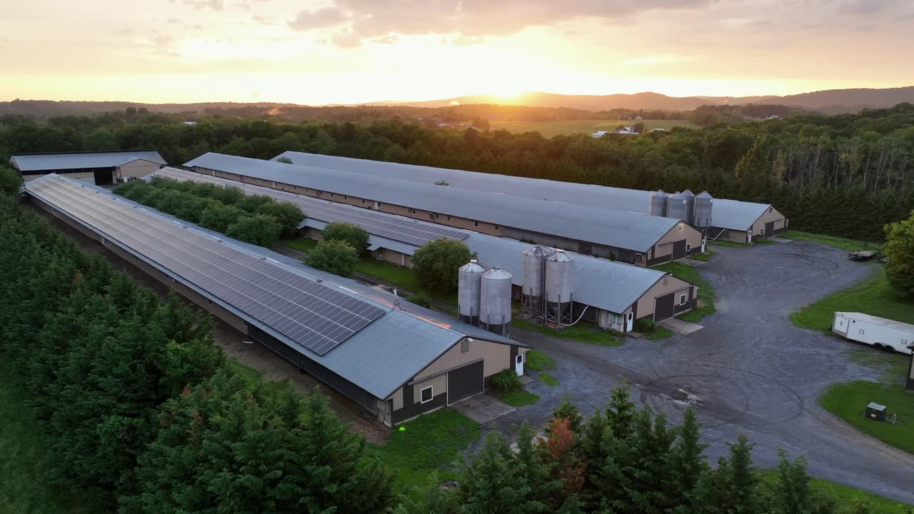 Large Farmstead with barn and livestock housing of animals in america. Golden Sunset behind farm fields. Aerial descend wide shot. Production of alternative energy on roof of building. PA,USA.