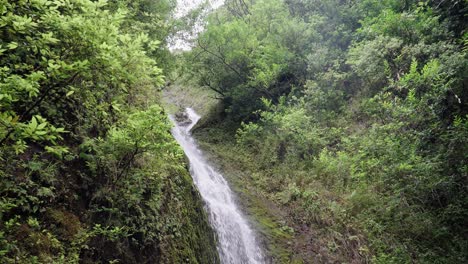 Un-Arbusto-Verde-Rodea-Una-Cascada-En-Hawaii.