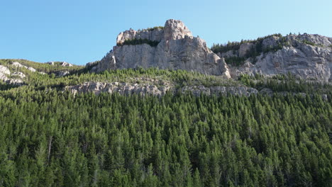 Waldberggipfel-Schwindeleffekt