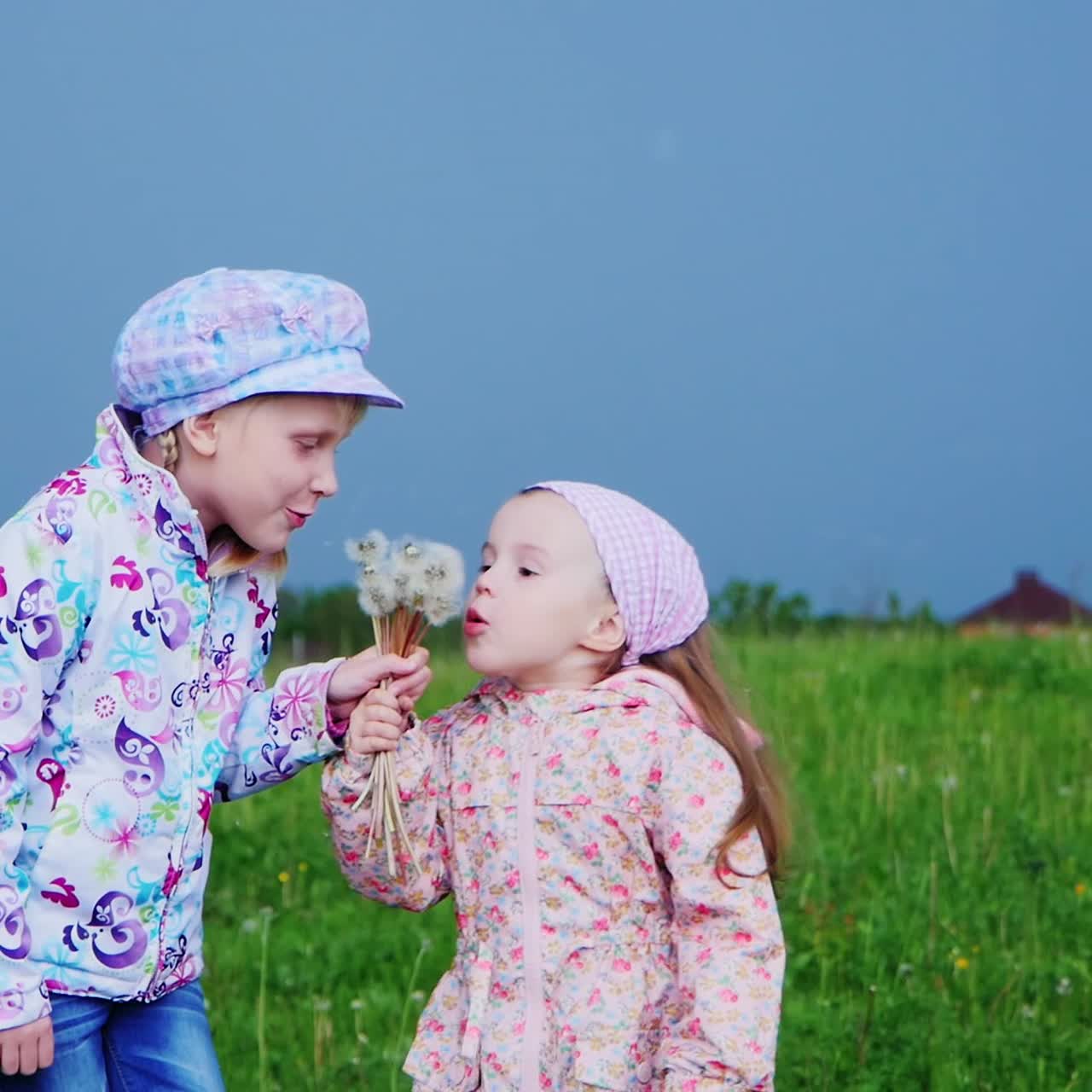 बच्चा डंडेलियन के साथ खेलता है और बीज को उड़ा देता है 1