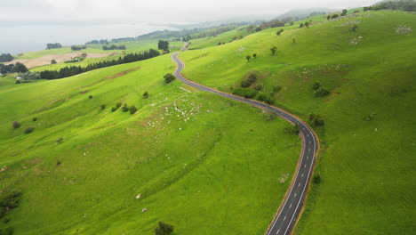 scenic asphalt road on lush green hills on coast of south island, new zealand, aerial view