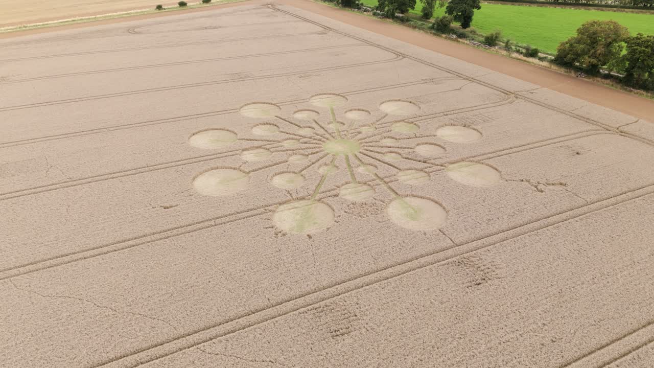 yover círculo de cosecha vista aérea descendiendo hacia el campo de trigo dorado patrón estelar molecular, hampshire