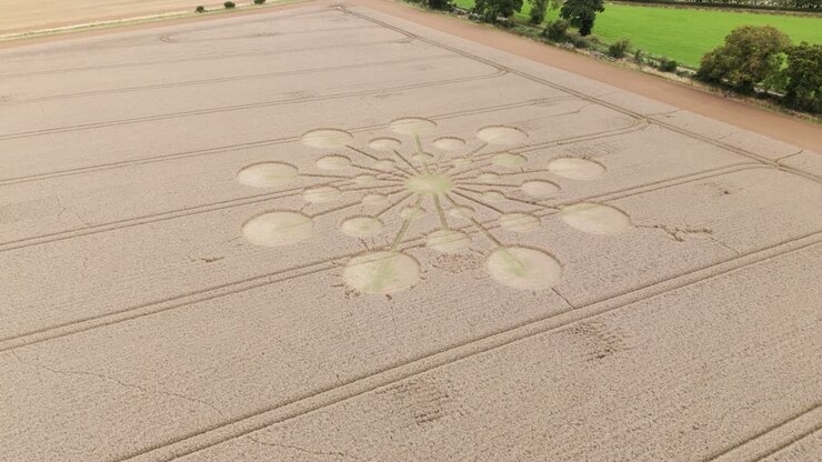 Andover crop circle aerial view descending towards golden wheat field molecular starburst pattern, Hampshire