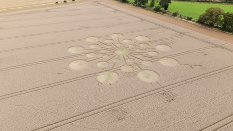 Andover-crop-circle-aerial-view-descending-towards-golden-wheat-field-molecular-starburst-pattern,-Hampshire