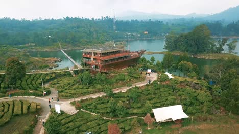 lake with mountain and pine forest tea field