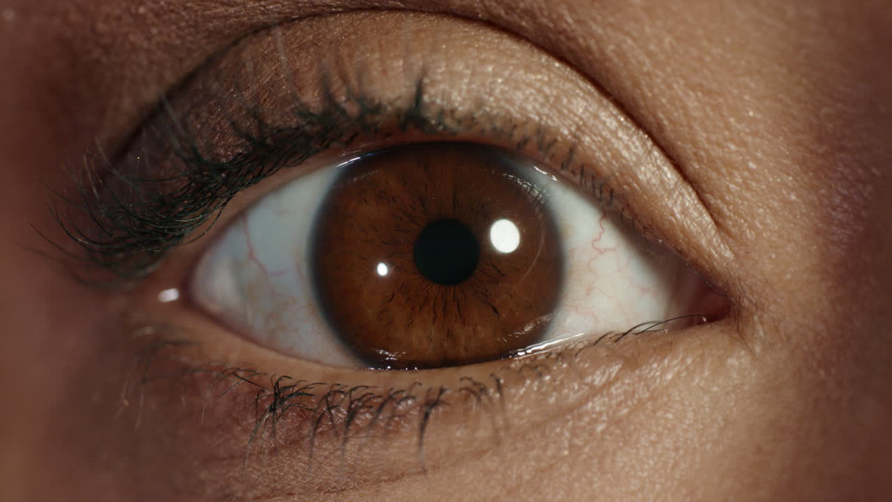 close up macro brown eye opening blinking natural human beauty healthy eyesight concept