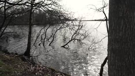 timelapse of lake on the edge of a forest-5