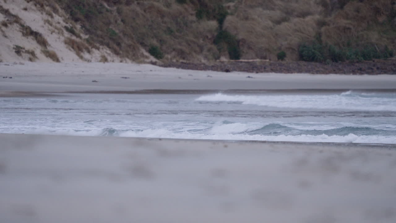 океанические волны катятся на пляж сандфлай-бэй в дунедине, новая зеландия