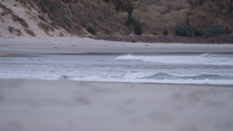 Olas-Del-Mar-Rodando-Hasta-La-Playa-De-La-Bahía-De-Flebótomos-En-Dunedin,-Nueva-Zelanda