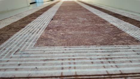 long hallway runner rug with brown and beige stripes