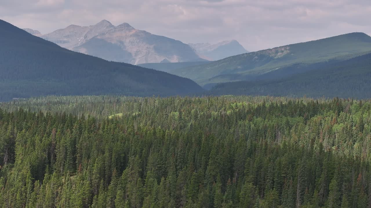 una vista desde un avión no tripulado de los árboles del bosque boreal mientras se extienden a través de un valle brumoso y lleno de humo de las montañas rocosas de alberta, canadá