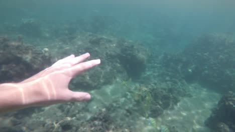 snorkeling pov shot in water