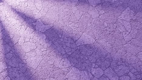 a close-up view of cracked earth purple