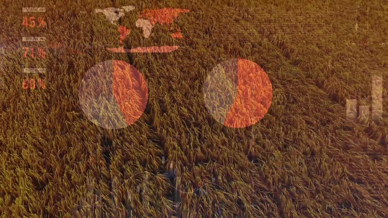 Animation of rotating dna strand scanning and moving data processing over muscular man exercising