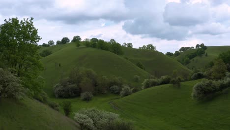 mooie bewolkte ochtend over deliblato-zand, zandige heuvels bedekt met groen gras en bomen