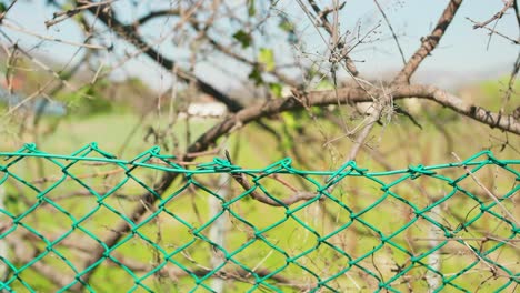 velha cerca de arame farpado com grama verde no campo