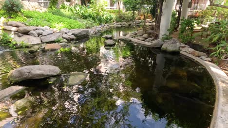 a serene pond with stepping stones and reflections