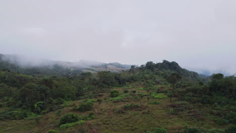 aerial-view-of-a-dense-forest,-shrouded-in-mist-and-fog