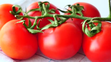 tomates frescos