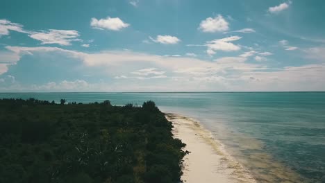 Große-Rückwärts-Langsam-Sinkende-Drohnenaufnahme-An-Einem-Einsamen-Strand-Und-Eine-Große-Vogelfliege-Im-Dschungel