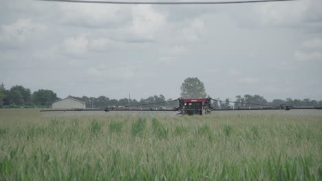 wide day exterior of crop dusting in corn field