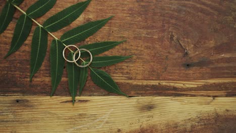 Wedding-rings-on-wooden-table