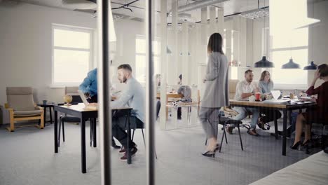 dolly shot of happy mixed ethnicity office colleagues enjoying working at healthy office. view through glass wall 4k