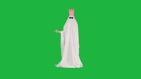 녹색 스크린에서 재미있는 유령 의상