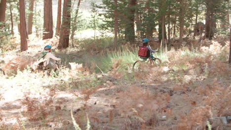 parents and two kids cycling in forest, handheld, side view