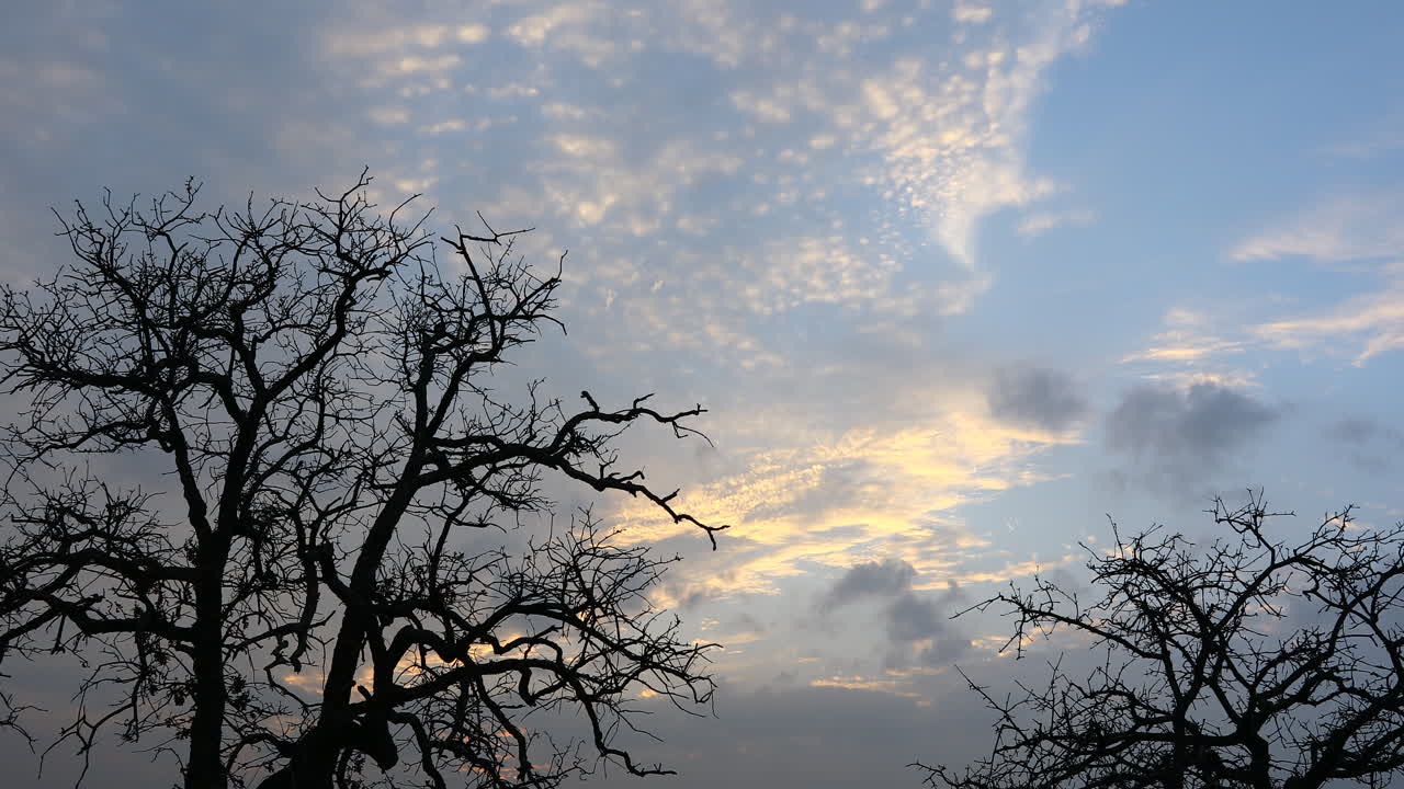 이것은 텍사스의 루이스빌 호수 위의 화려한 일몰의 비디오입니다.