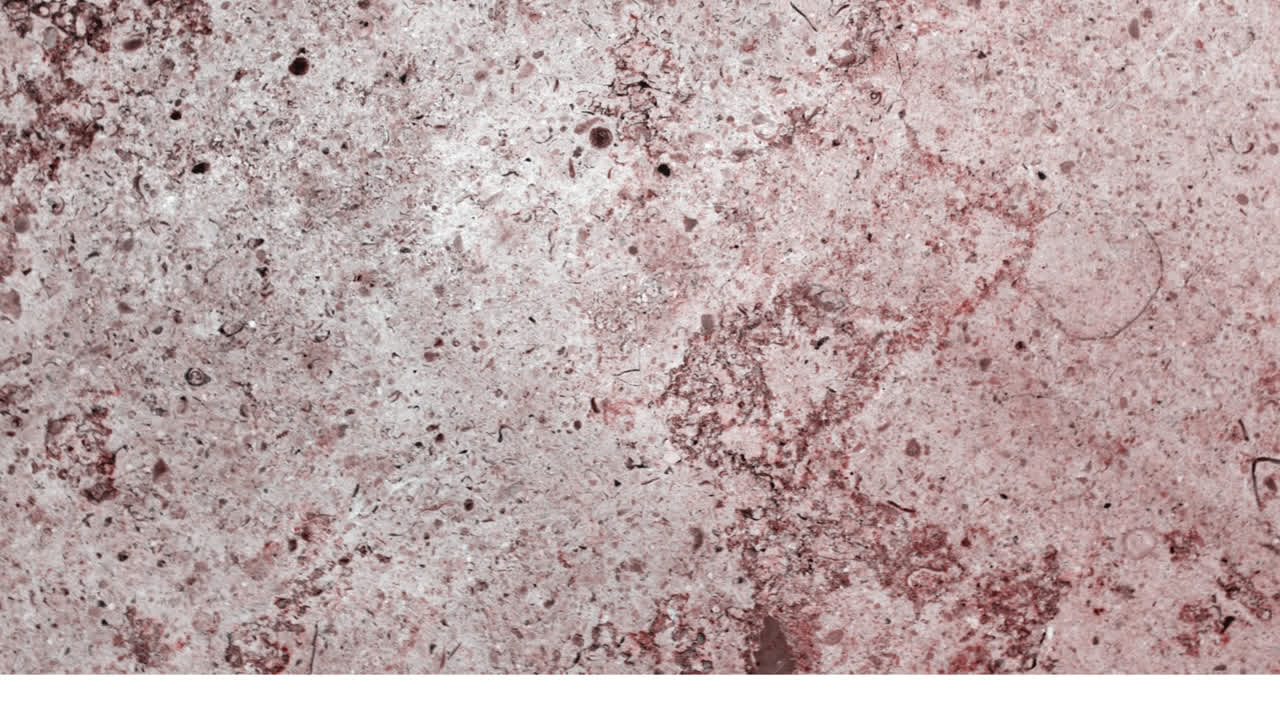 animación de texto de venta en burbuja de habla retro sobre fondo abstracto