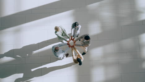 fist bump, top view and business people together