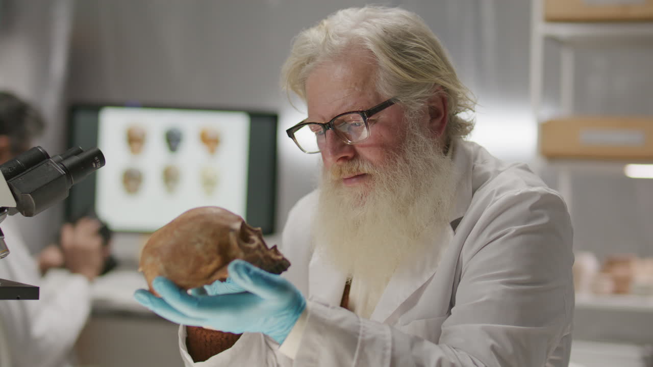 Elderly Archaeologist Measuring Skull with Caliper in Research Laboratory