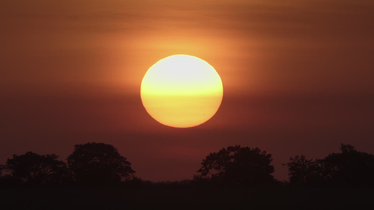 Timelapse de Paisagem em Close-up ao Pôr do Sol.